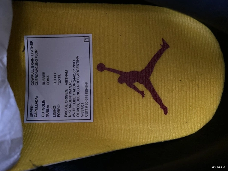 Jordan Instinct CV3583-003 2.0” 3 SE Air “Animal 1028